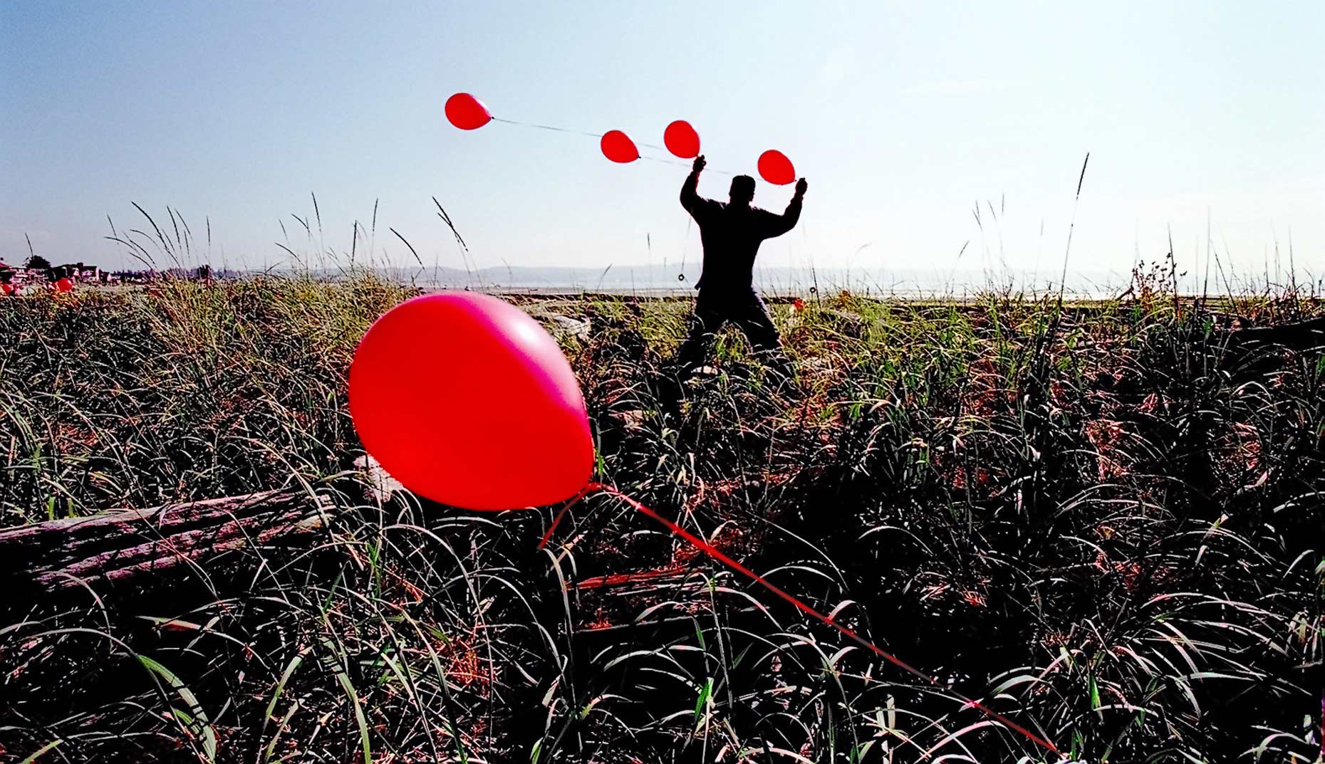 apf_ecosystem-16.JPG