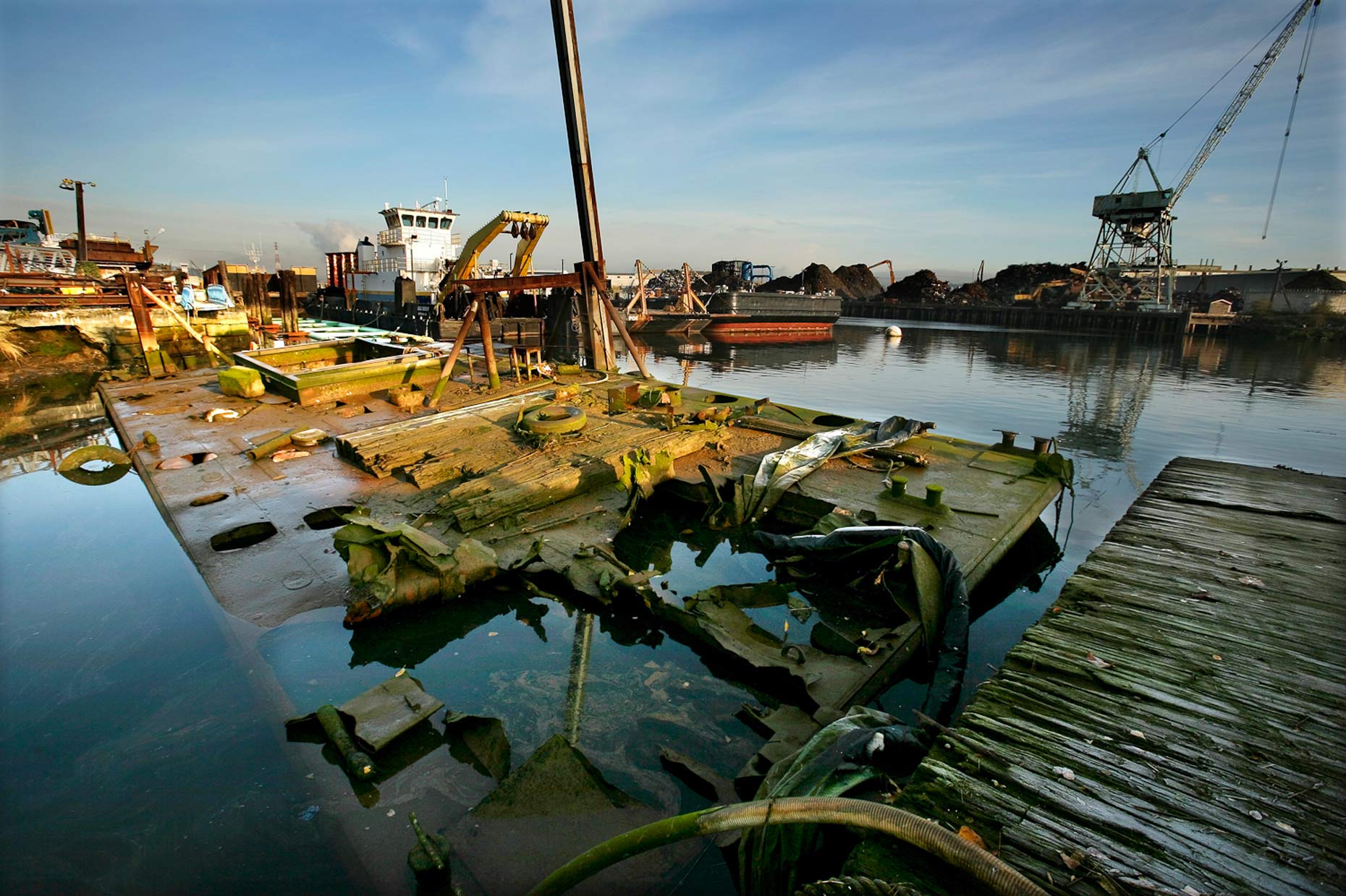 apf_ecosystem-80.JPG